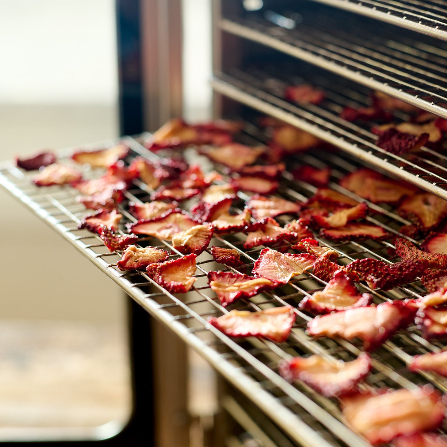 BigBite® 10-Tray Dehydrator