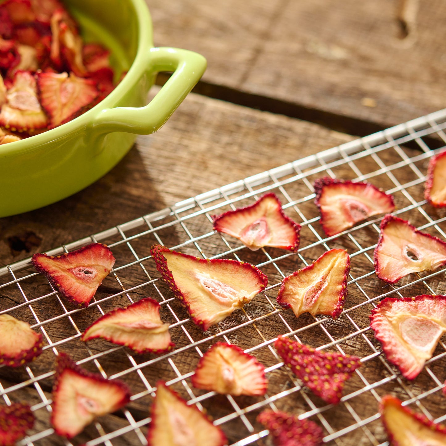 BigBite® 10-Tray Dehydrator