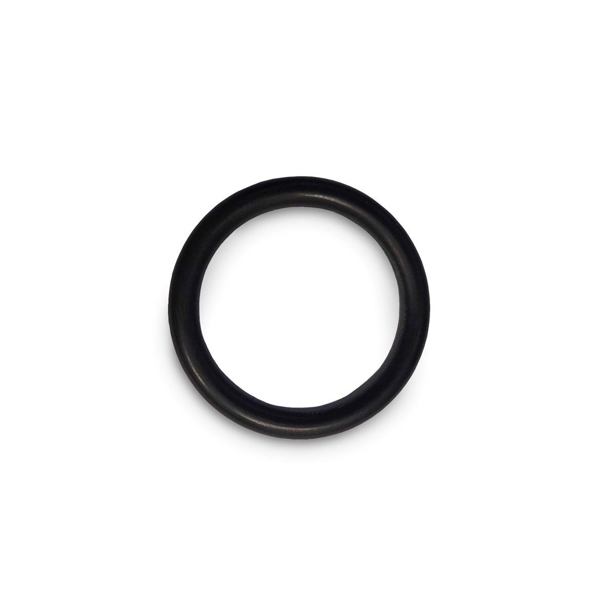 F.Dick Brine Pump Packing Ring