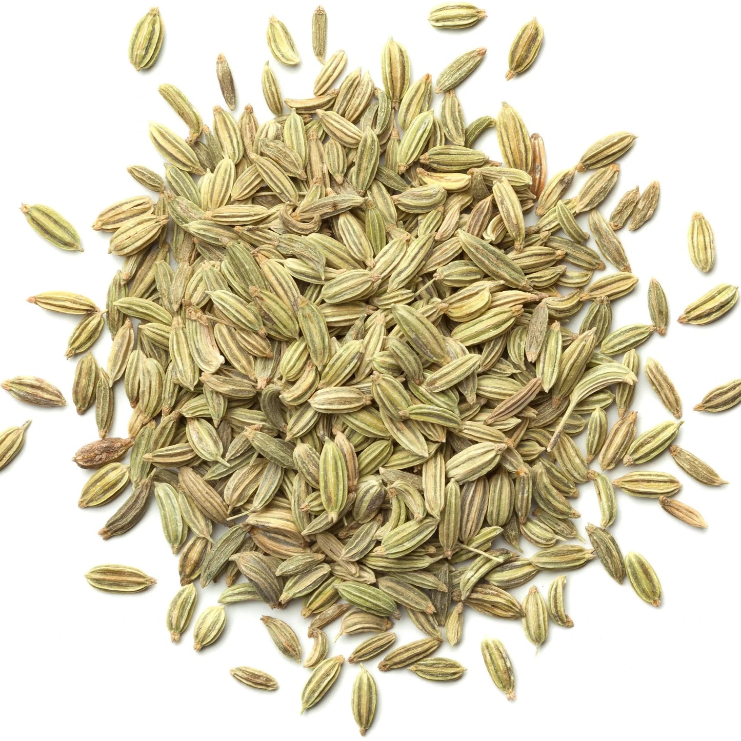 Fennel Whole