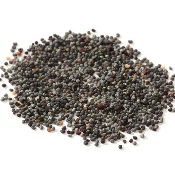 Poppy Seed (dutch blue)