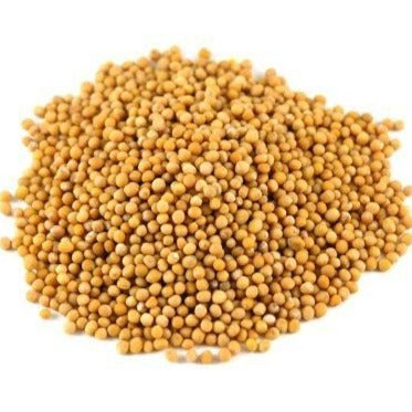 Mustard Seed Whole (yellow)